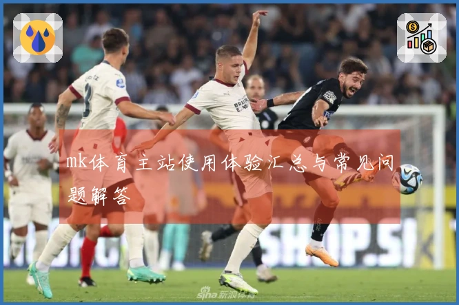 mk体育主站使用体验汇总与常见问题解答