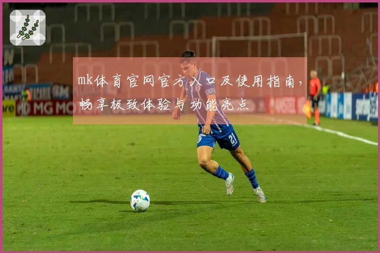 mk体育官网官方入口及使用指南，畅享极致体验与功能亮点